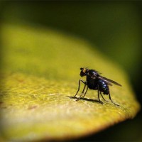 /album/digucci/photolia-a07-jpg/